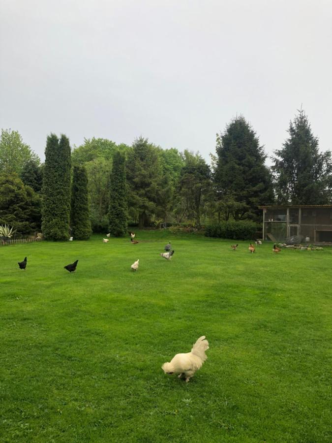 Agroturystyka Nad Stawami Szemud Extérieur photo