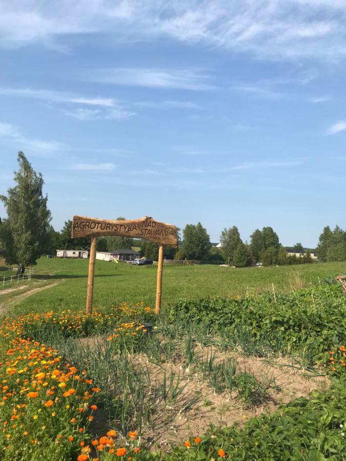 Agroturystyka Nad Stawami Szemud Extérieur photo