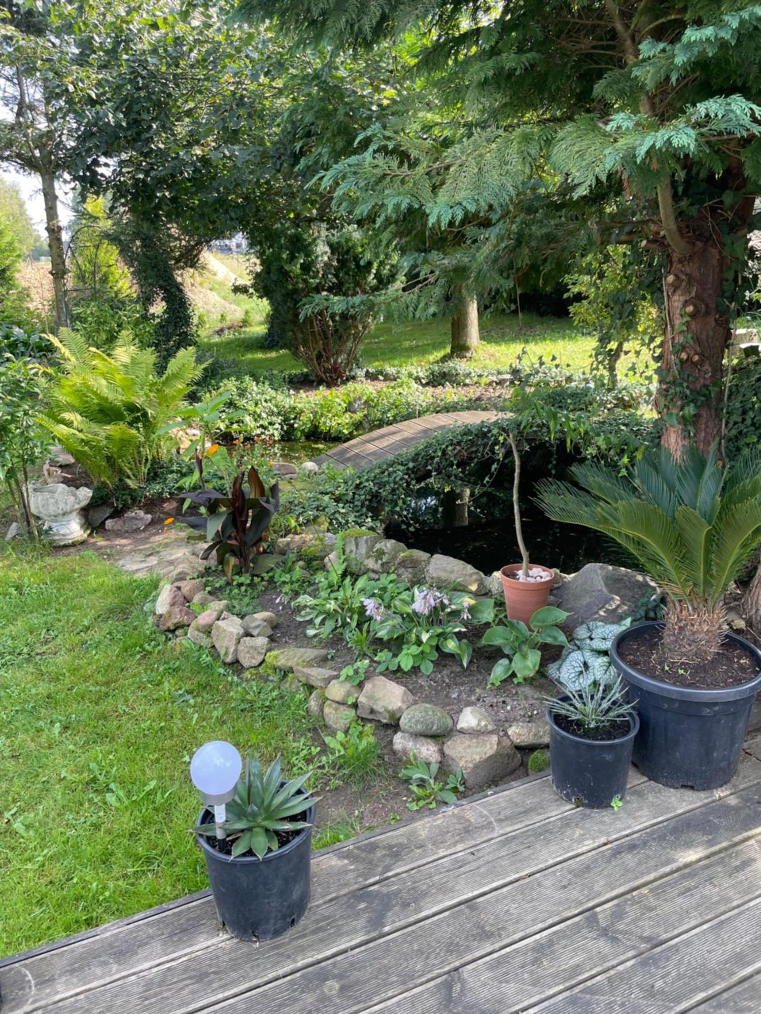 Agroturystyka Nad Stawami Szemud Extérieur photo